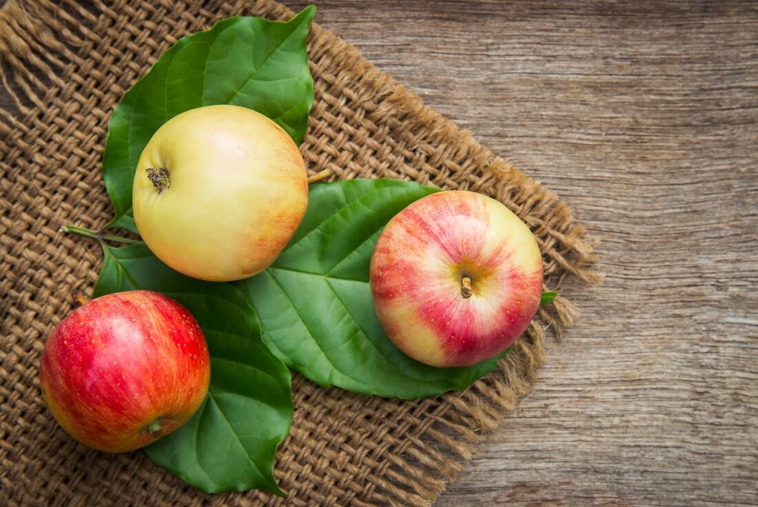 Apples' high fiber and water content means they'll make you feel full with less calorie intake....ideal for weight loss